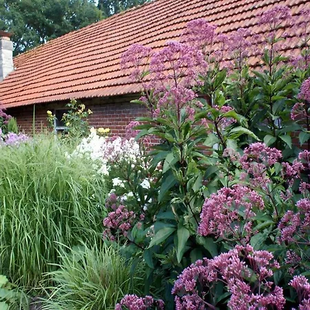 Attractive In Daire Westerstede