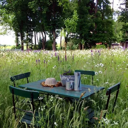 Daire Attractive In Westerstede