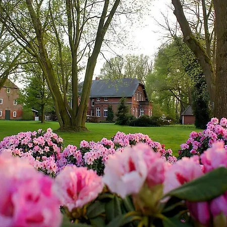 Attractive In Daire Westerstede