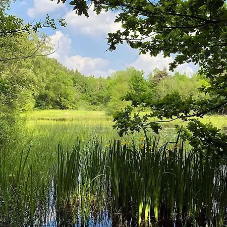 Attractive In Daire *